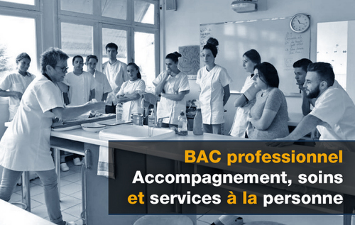 Le Bac Pro Assp Une Formation Au Plus Proche Des Autres Actualites La Joliverie